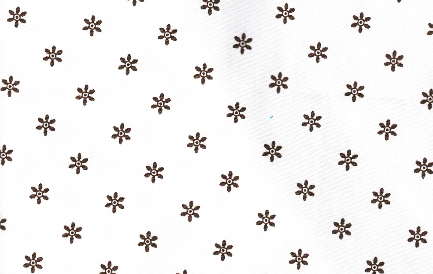 Chemise en coton imprimée homme star - NO AGE Store